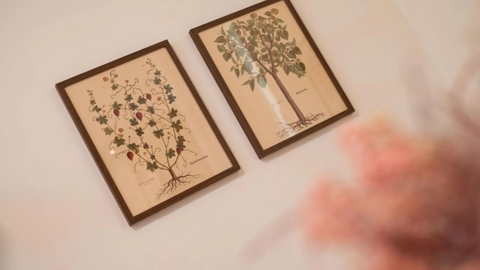 Apartamento Romantica Laterano
